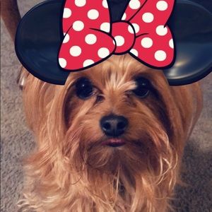 Meet your Posher, Sherry